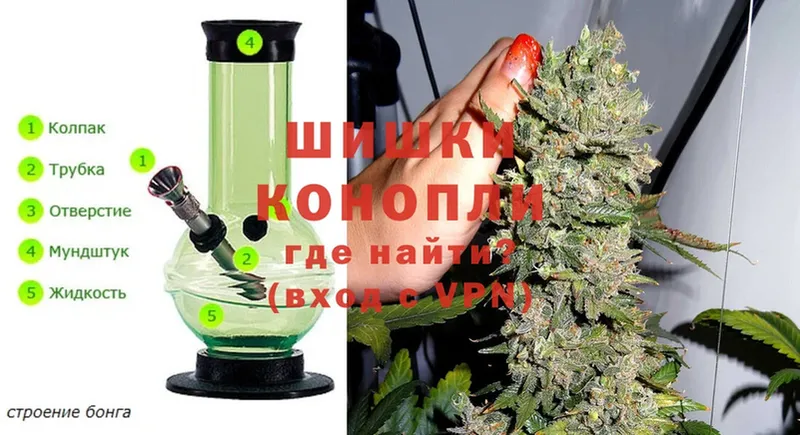 где найти наркотики  Гаджиево  Канабис THC 21% 